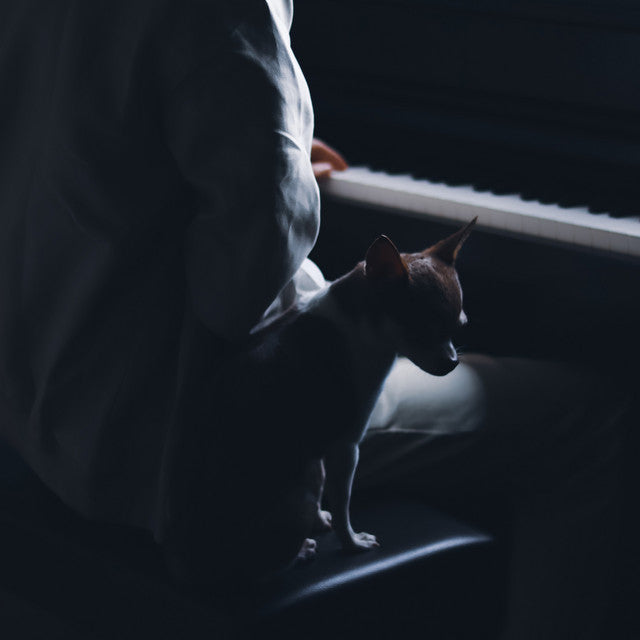 Idea 22 - Sheet Music